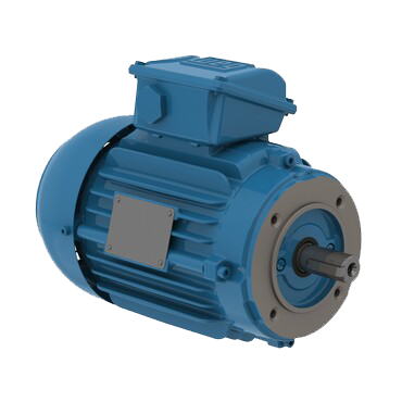 WEG ATEX motors